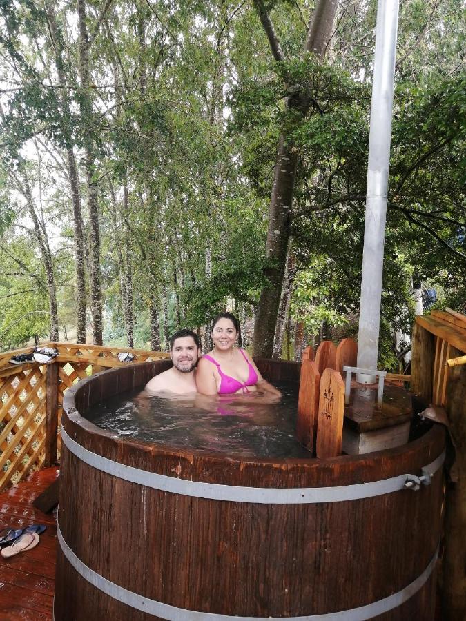 Cabanas Huilipan Gonzalez Nueva Imperial Exteriör bild
