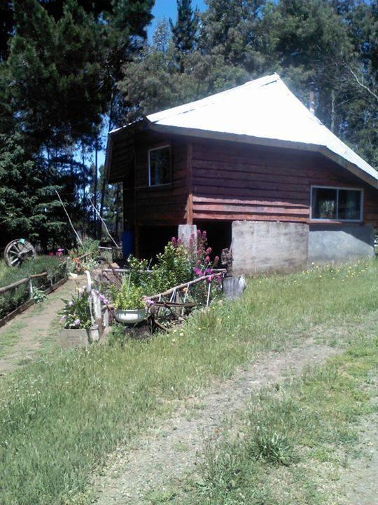 Cabanas Huilipan Gonzalez Nueva Imperial Exteriör bild